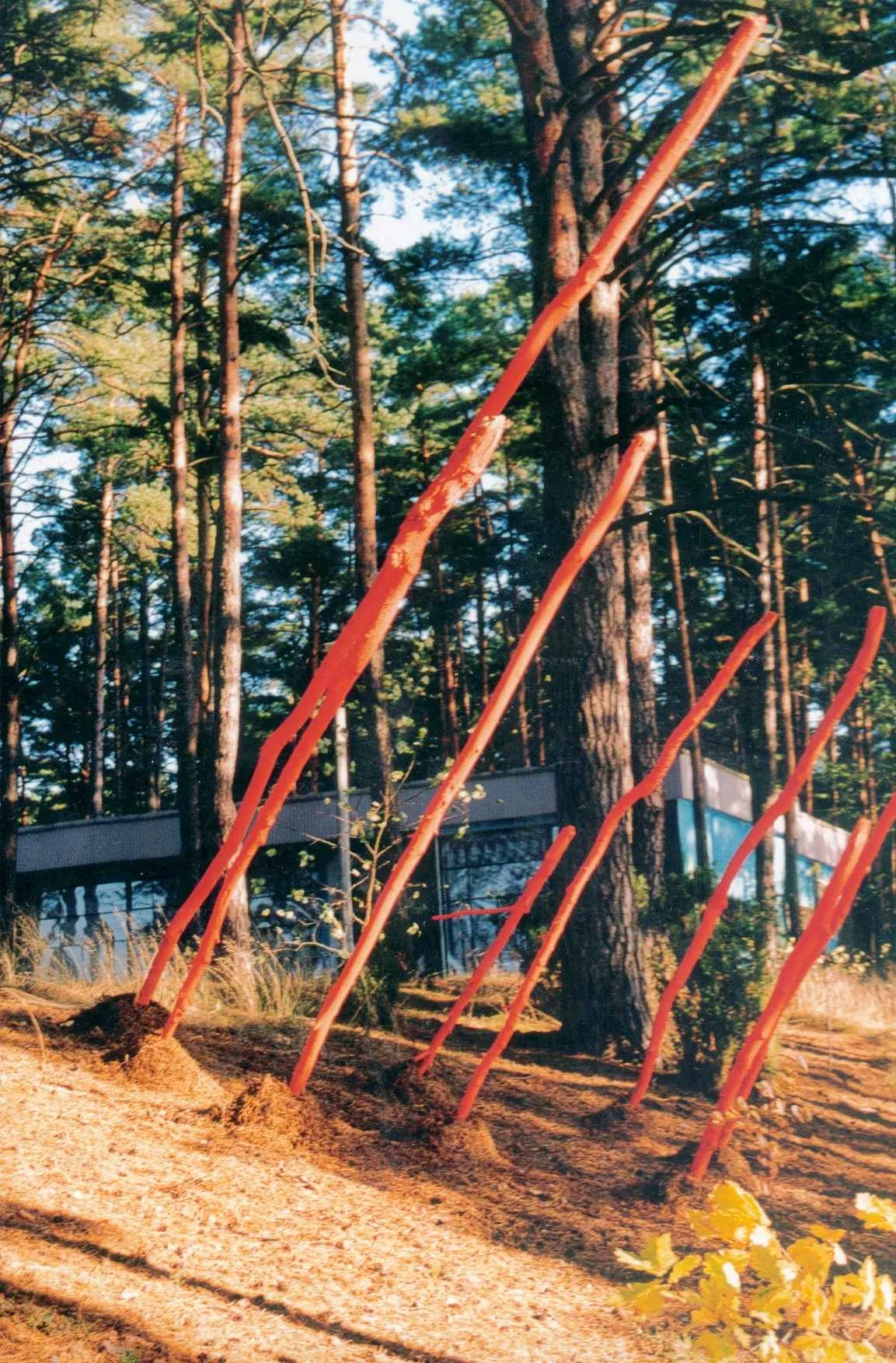 Zdjęcie z galerii